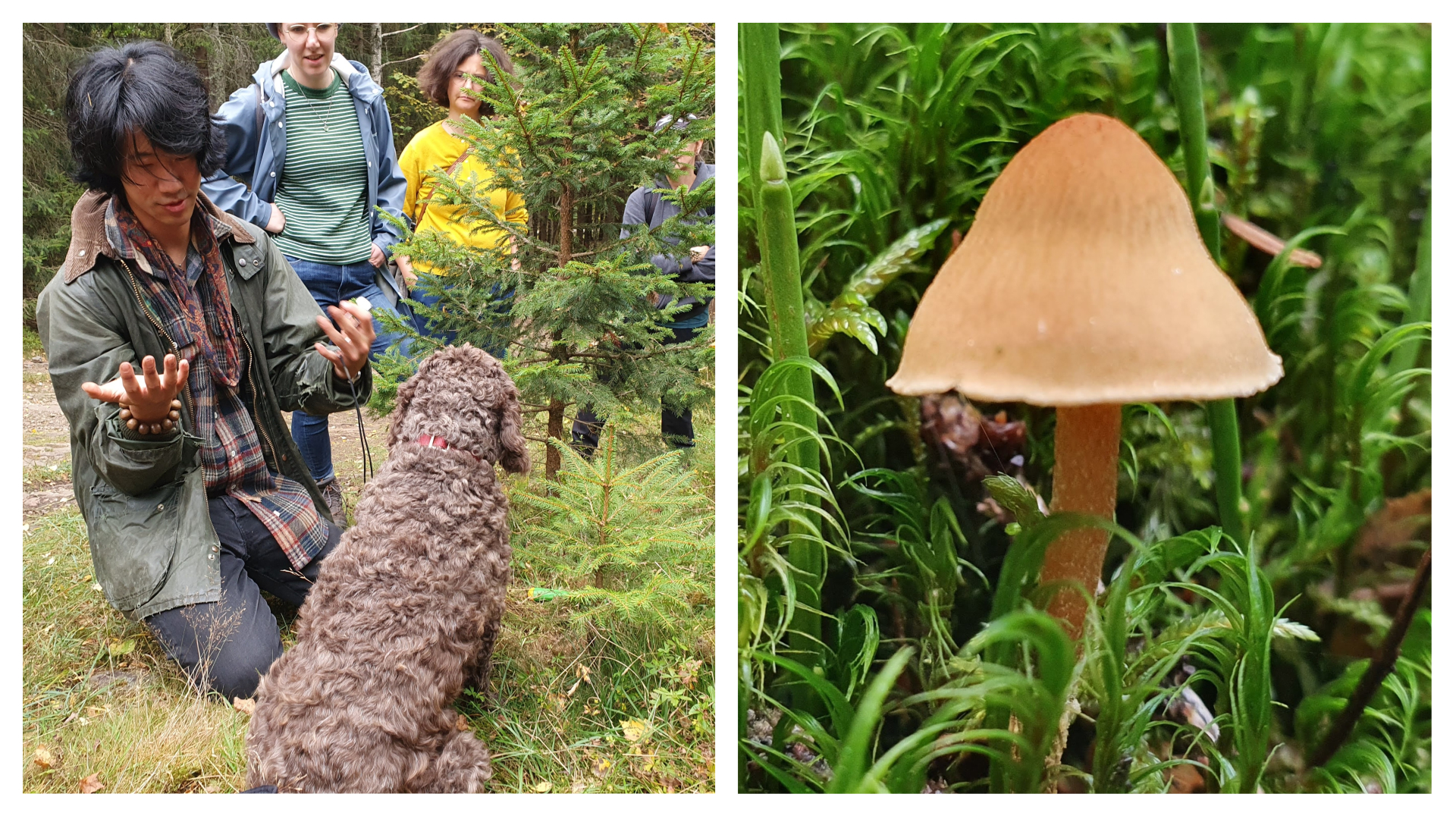 To the left: A picture of three people and a dog. To the right: Close-up photo of a fungus. 