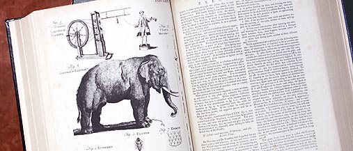 Nærbilde av en bok med tett i tett med tekst på den ene siden, og en tegning av en elefant, en rokk og en bille på den andre.