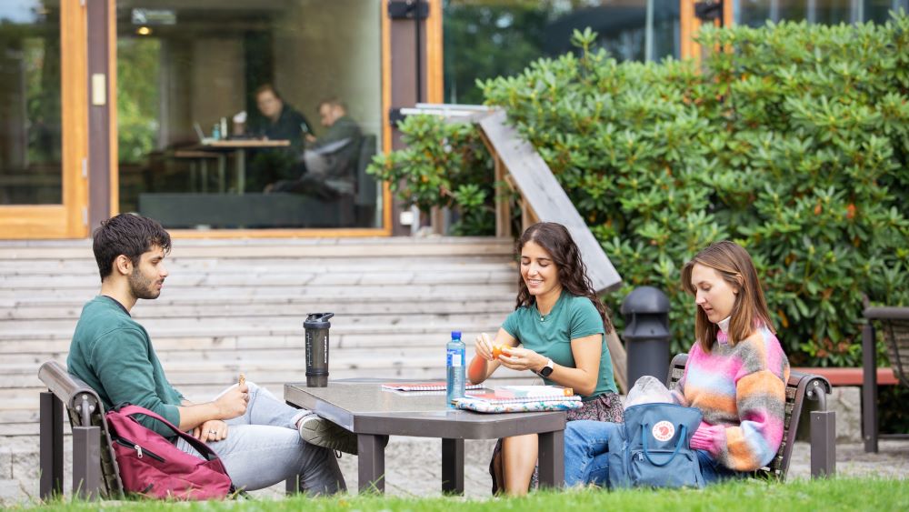 Tre studenter sitter ved en benk i Ivar Aasens hage og spiser lunsj. Foto.