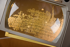 Papyrusfragment (Foto: John Hughes)