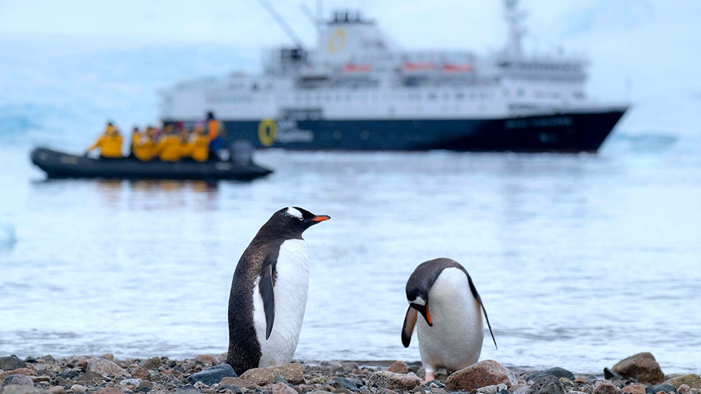 To pingviner i Antarktis foran båter med mennesker i.