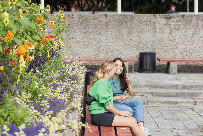 To kvinnelige studenter sitter på en benk og snakker sammen. 