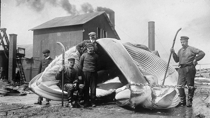 Black and white photo of four men standing in front of a whale.