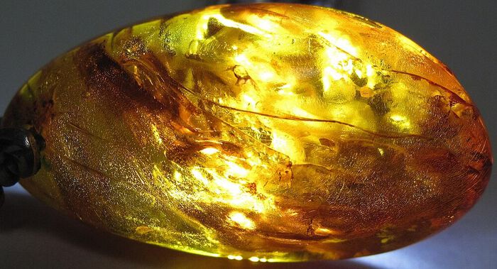 Picture of an amber jewelry stone. 