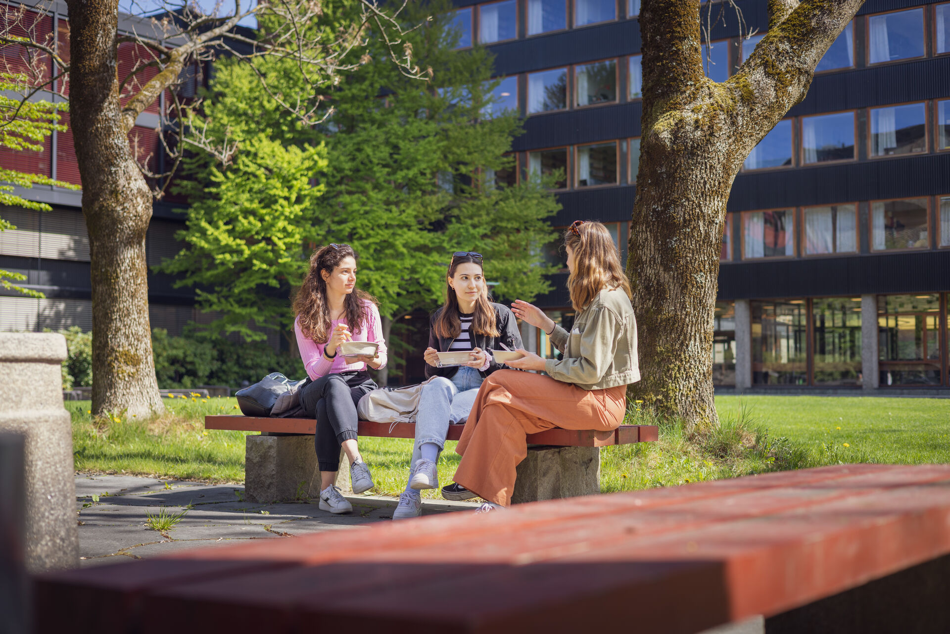 Students conversing in the Ivar Aasen quad