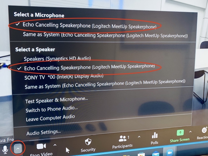 Audio settings in Zoom session